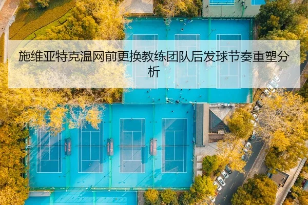 shi-wei-ya-te-ke-wen-wang-qian-geng-huan-jiao-lian-tuan-dui-hou-fa-qiu-jie-zou-zhong-su-fen-xi-2-654.jpg
