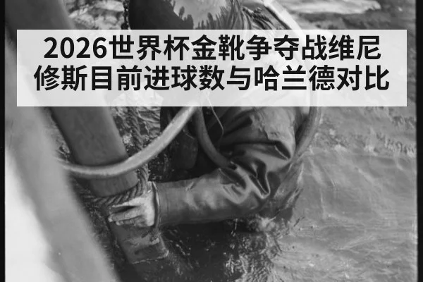 2026世界杯金靴争夺战维尼修斯目前进球数与哈兰德对比